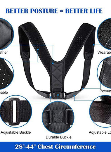 Humpback correction belt