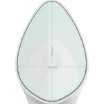 Iron Facial Massage Beauty Instrument